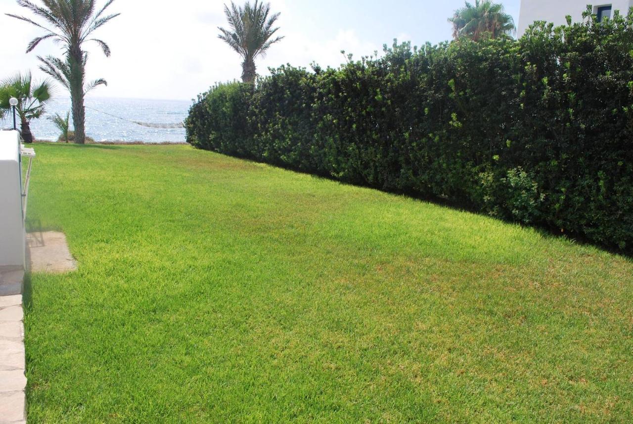 Sea Front Villa, Heated Private Pool, Amazing Location Paphos 323 Kissonerga Buitenkant foto